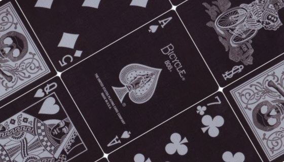 Bicycle Dark Skull Silver Edition
